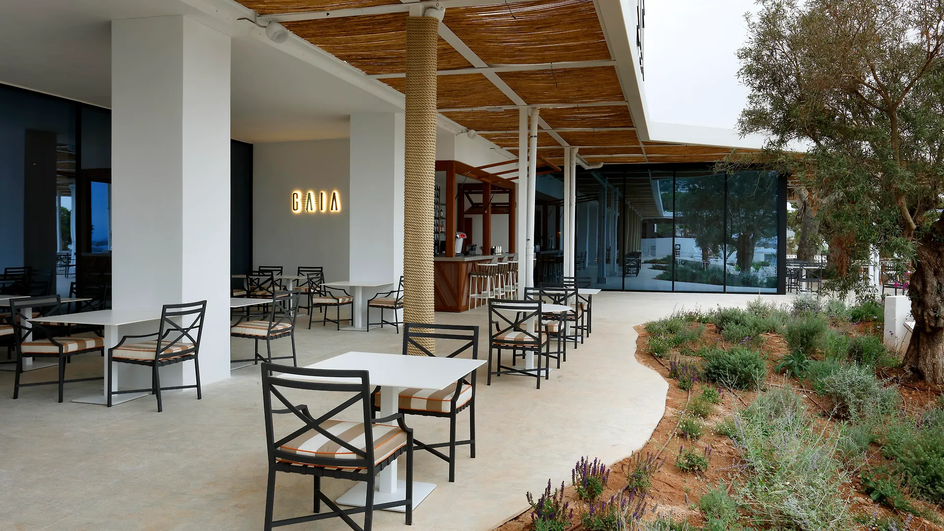 Trs Ibiza Hotel - Adults Only Sant Antoni de Portmany